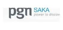 PGN Saka