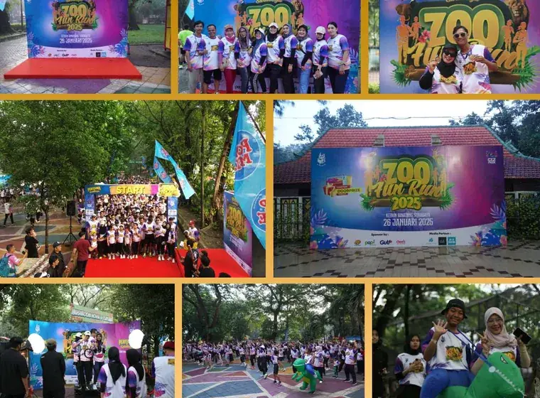 Fun Run Zoo